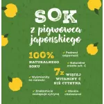 Sok pigwowiec japoński 250ml pasteryzowany